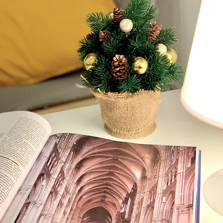 Gaiss Un Majigs Dzivoklis Apartment